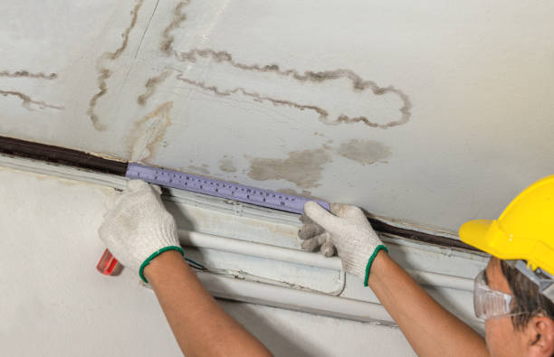Reliable Burst Pipe Cleanup contractor in Slaughter, LA by Water Damage Irwin